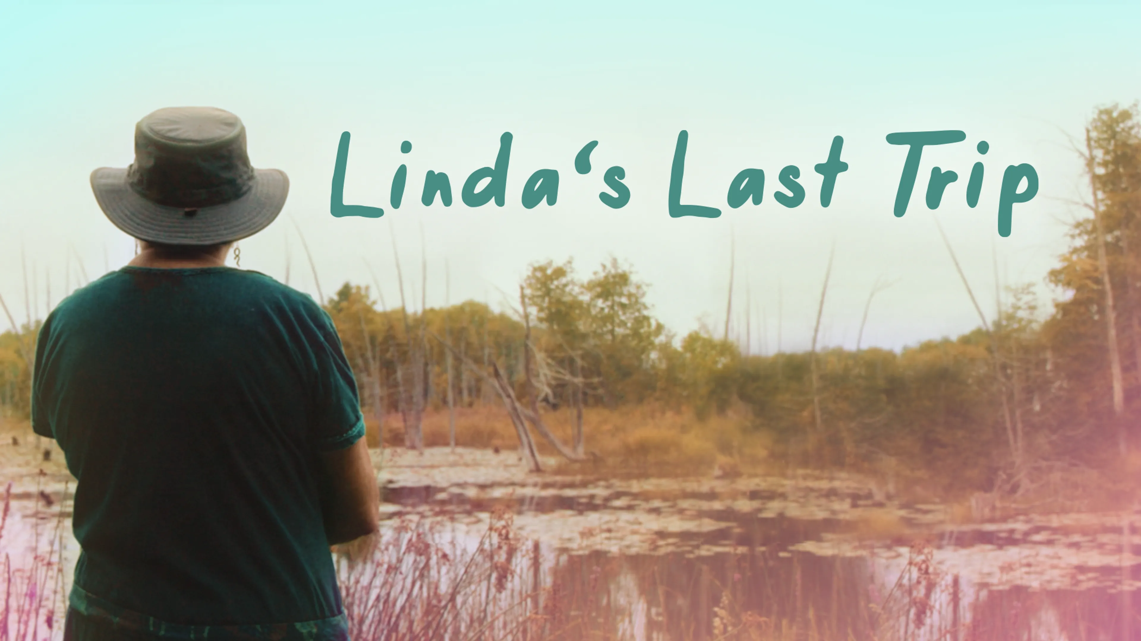 Linda's Last Trip poster